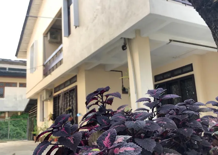 Little Cozy Homestay