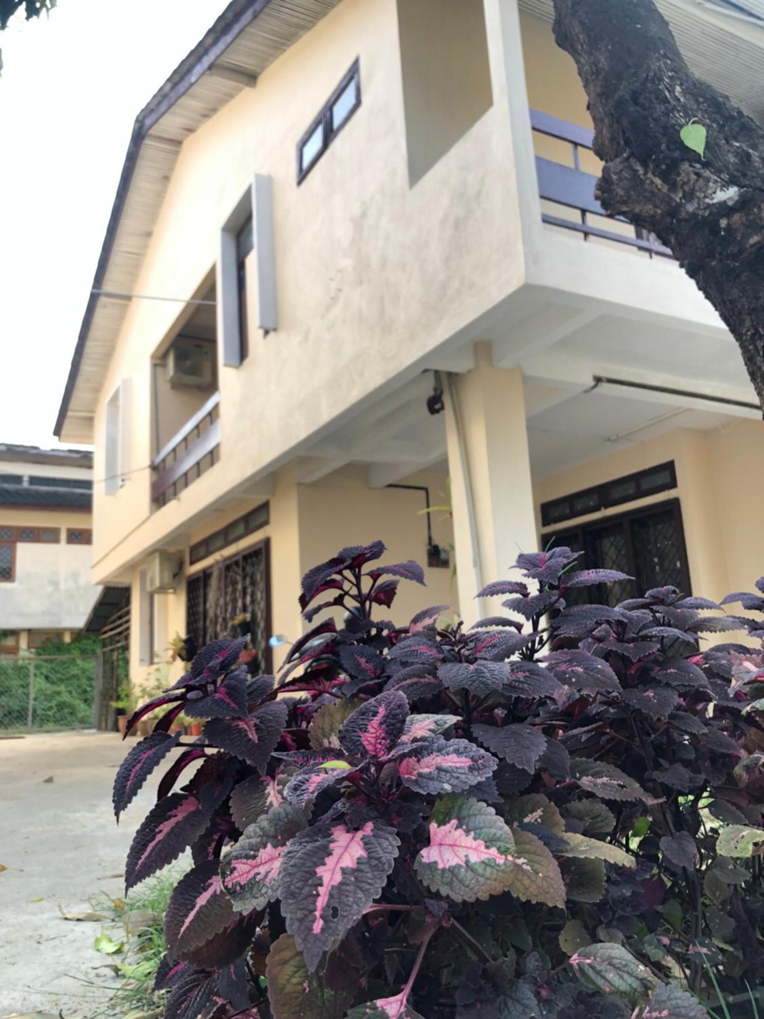 Homestay Little Cozy