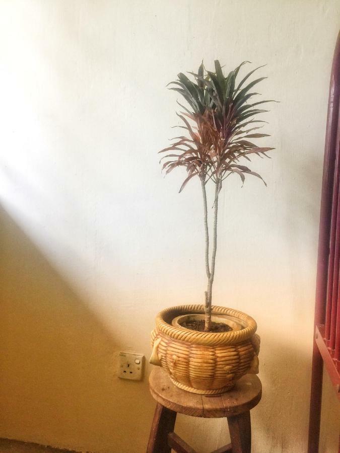 Homestay Little Cozy